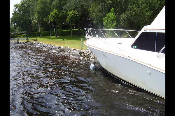 45' Sportfish