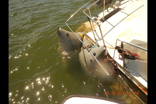 36' Wood Inboard
