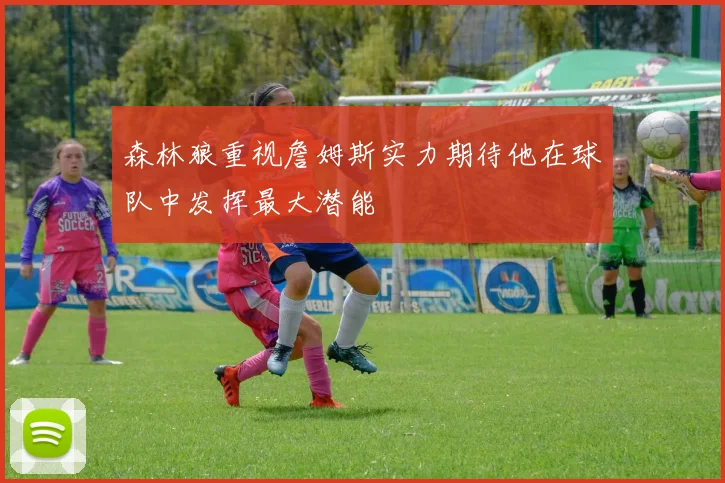 森林狼重视詹姆斯实力期待他在球队中发挥最大潜能