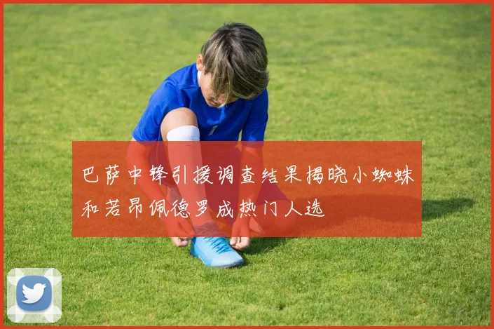 巴萨中锋引援调查结果揭晓小蜘蛛和若昂佩德罗成热门人选